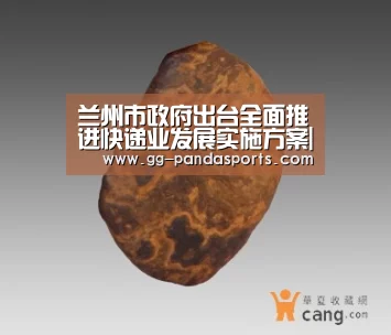 熊猫体育官网