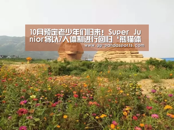 10月预定老少年们归来!Super Junior将以7人体制进行回归‘熊猫体育平台’(图3) 熊猫体育