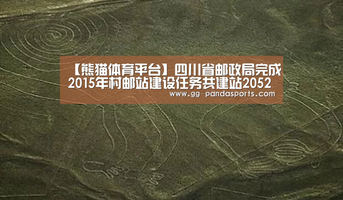 熊猫体育平台