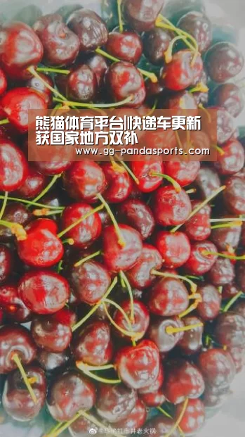 熊猫体育app