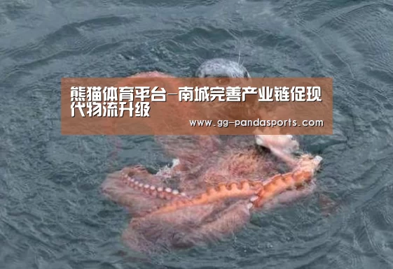 熊猫体育平台-南城完善产业链促现代物流升级(图1) 熊猫体育